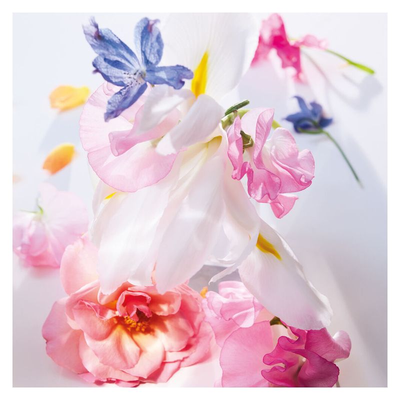 DIOR - Miss Dior Eau de Parfum Roller-Pearl - Note floreali vanigliate e sensuali