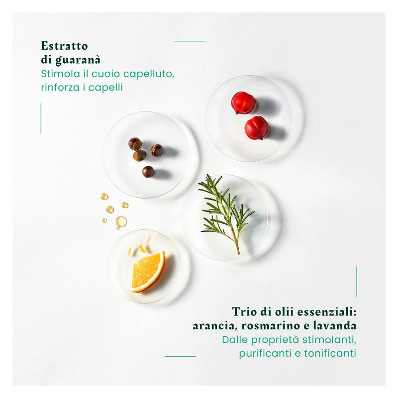 RENE FURTERER - FORTICEA SHAMPOOING FORTIFIANT REVITALISANT RENE FURTERER - FORTICEA SHAMPOOING FORTIFIANT REVITALISANT