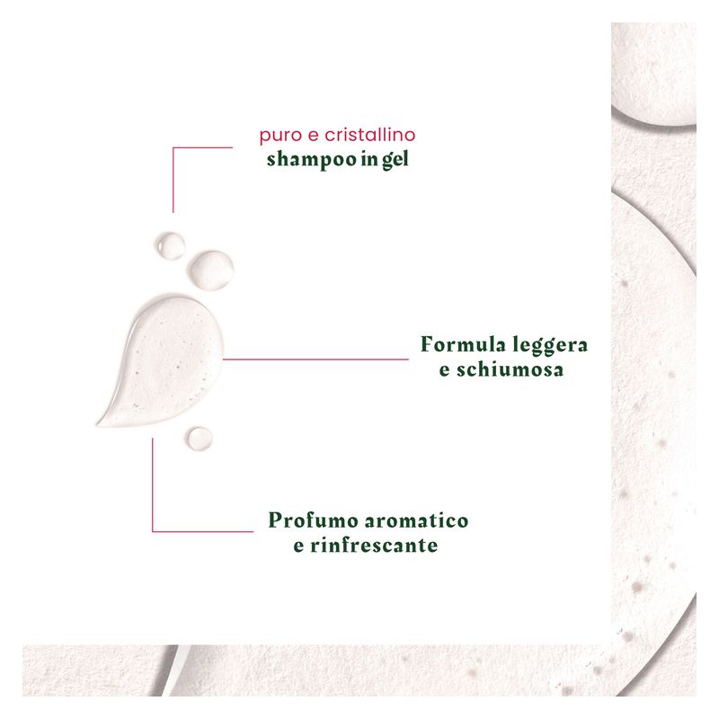 RENE FURTERER - NEOPUR SHAMPOOING ANTIPECULLAIRE EQUILIBRANT RENE FURTERER - NEOPUR SHAMPOOING ANTIPECULLAIRE EQUILIBRANT