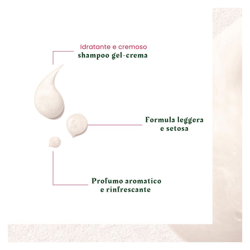 RENE FURTERER - NEOPUR SHAMPOOING EQUILIBRANT CUIR CHEVELA RENE FURTERER - NEOPUR SHAMPOOING EQUILIBRANT CUIR CHEVELA