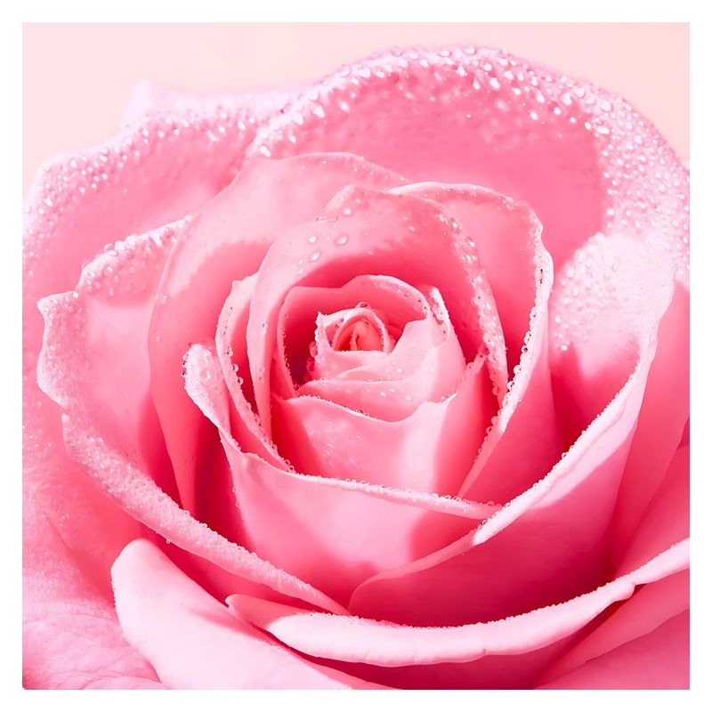 NUXE - VERY ROSE CRèME MAINS ET ONGLES APAISANTE NUXE - VERY ROSE CRèME MAINS ET ONGLES APAISANTE