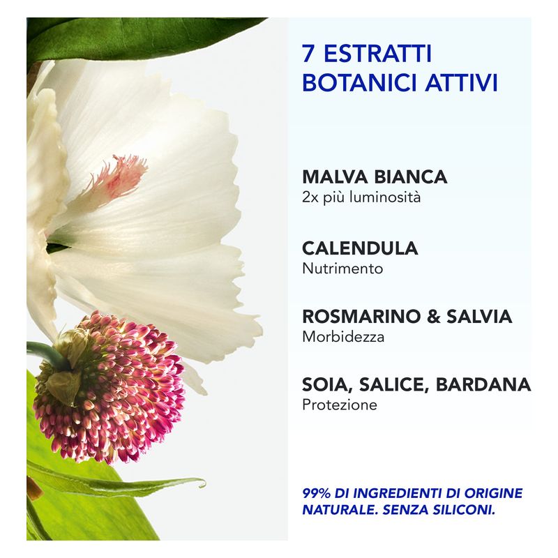 PHYTO - 7 ELIXIR CRèME DE JOUR UNIVERSELLE PHYTO - 7 ELIXIR CRèME DE JOUR UNIVERSELLE